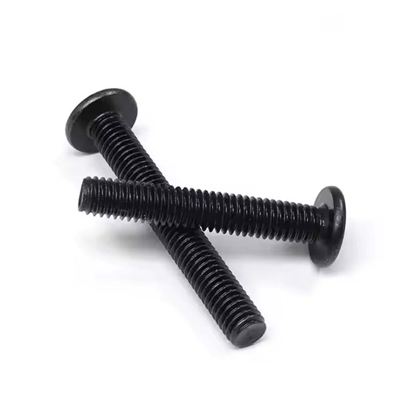 Hexagon Socket Flat runda huvudskruvar