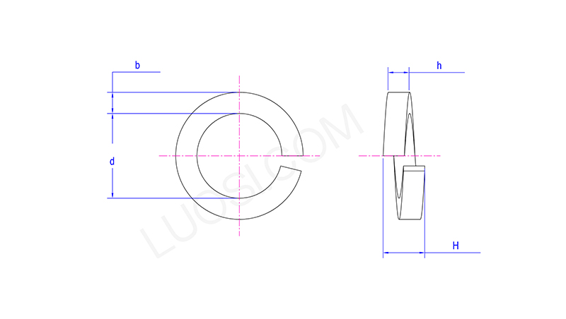 Load Bearing Spring Washers