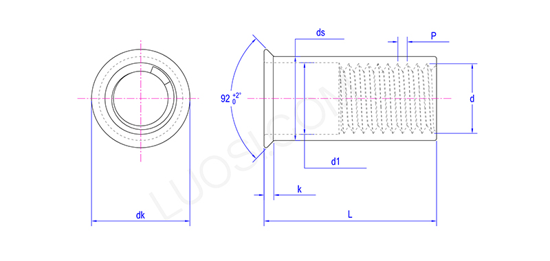 Permanently Anchored Countersunk Head Riveted Nuts